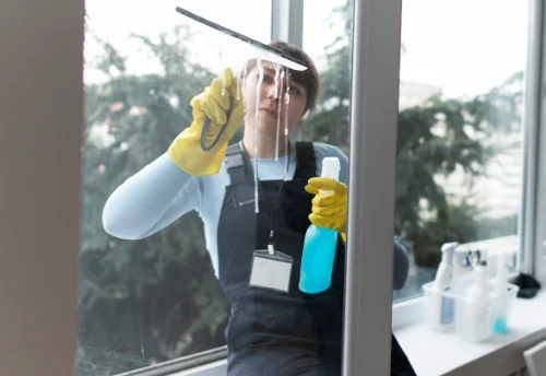 Nettoyage de vitres intérieures et extérieures à Tronget